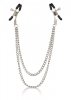 Tiered Nipple Clamps Metal